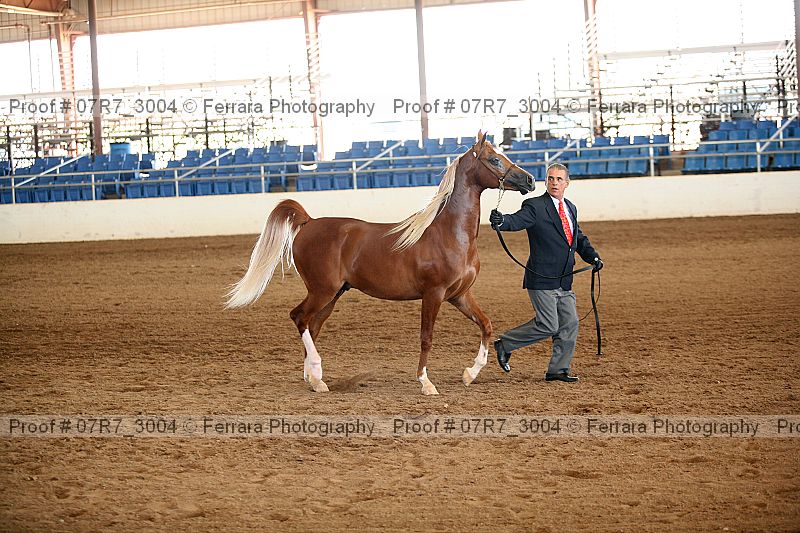 Proof 07r7_3004