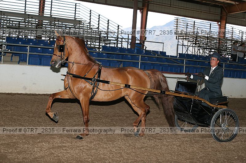 Proof 07r7_2835