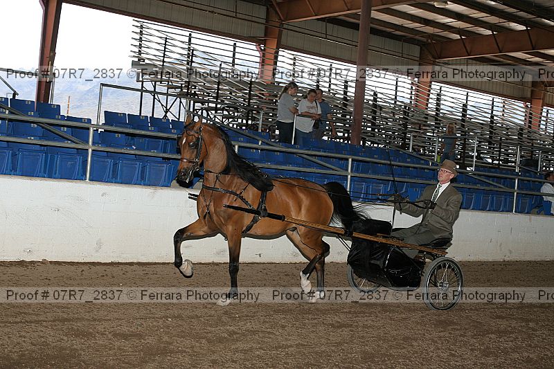 Proof 07r7_2837