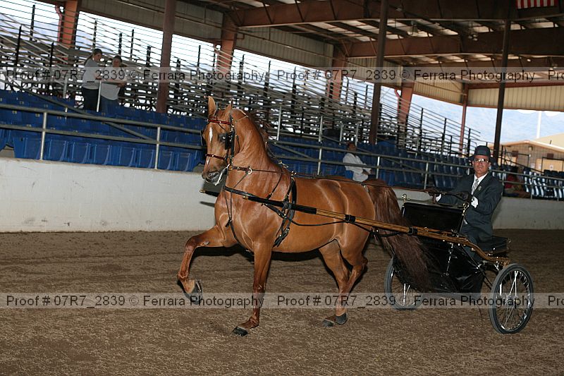 Proof 07r7_2839