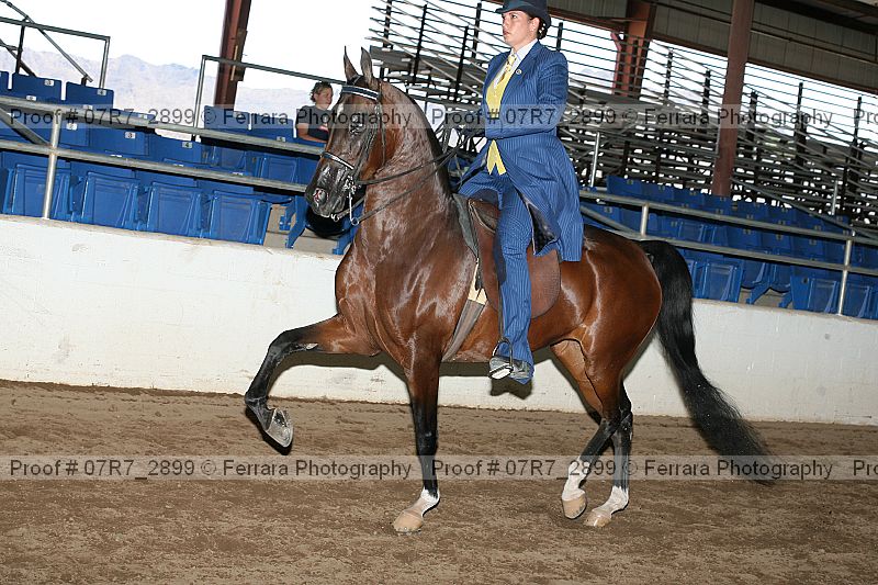 Proof 07r7_2899