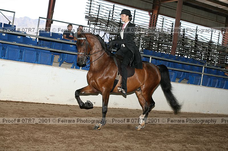Proof 07r7_2901