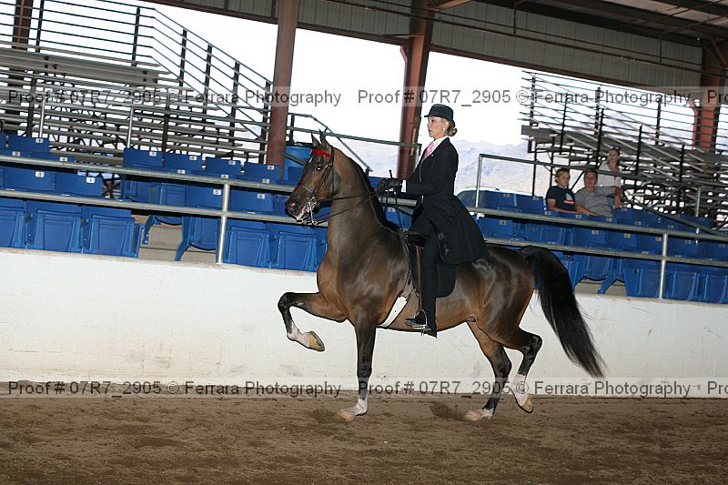 Proof 07r7_2905