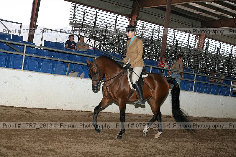 Proof 07r7_2913