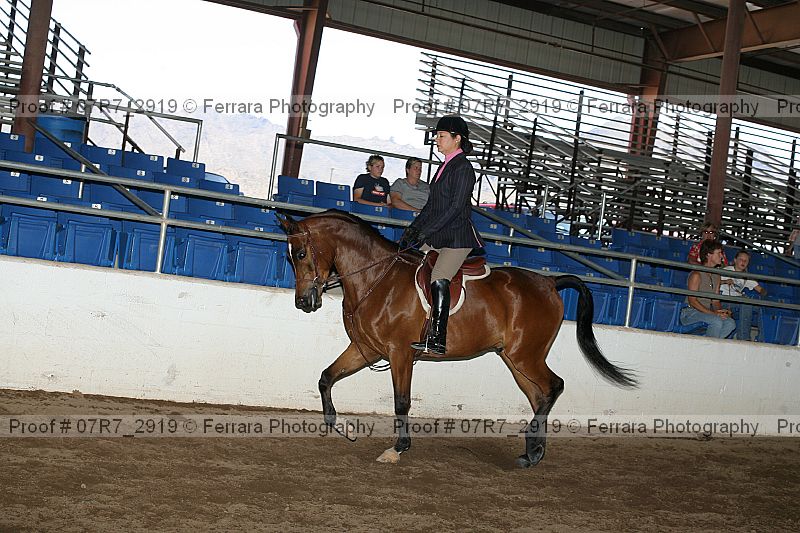 Proof 07r7_2919