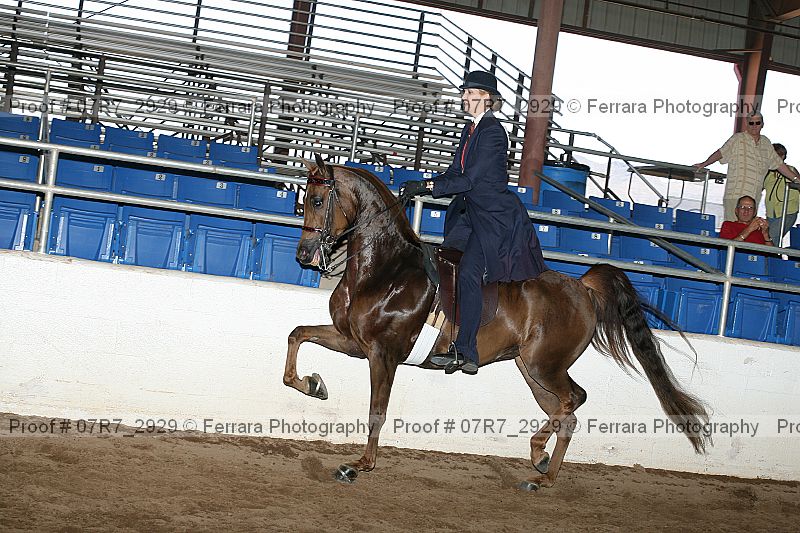 Proof 07r7_2929