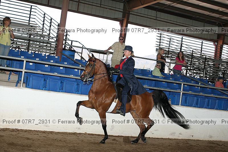 Proof 07r7_2931