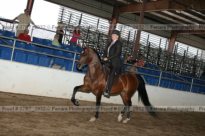 Proof 07r7_2932