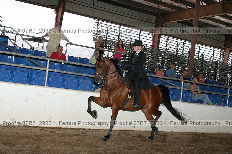Proof 07r7_2933