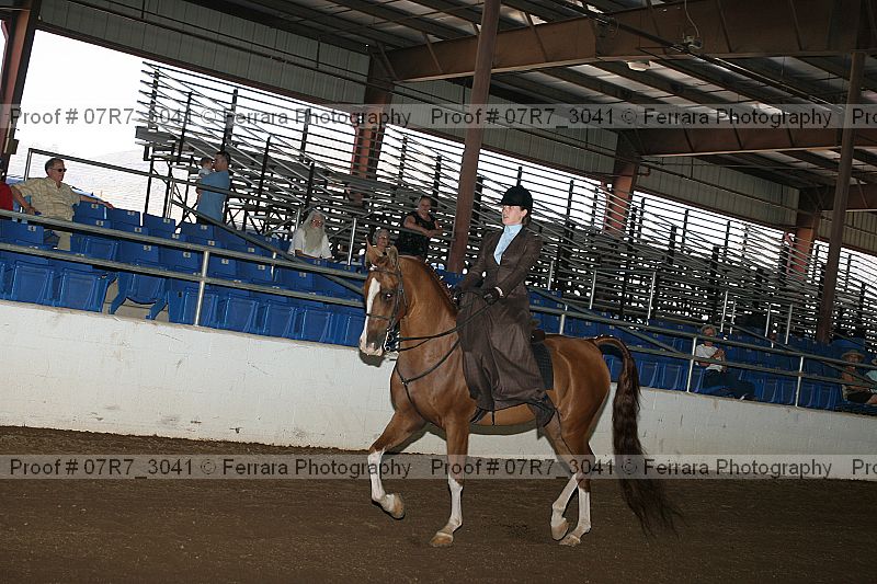 Proof 07r7_3041
