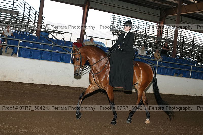 Proof 07r7_3042