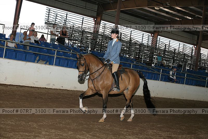 Proof 07r7_3100