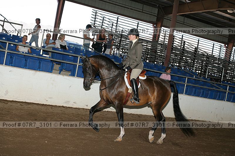 Proof 07r7_3101