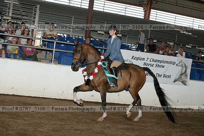 Proof 07r7_3108