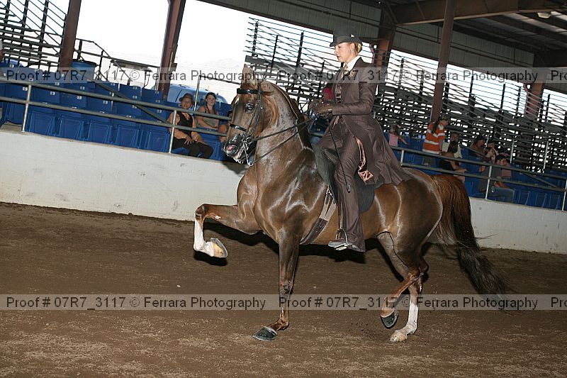 Proof 07r7_3117