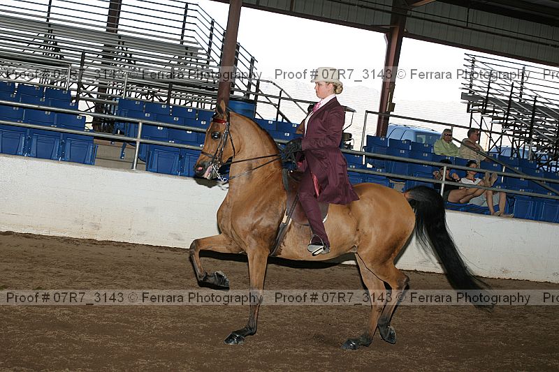 Proof 07r7_3143