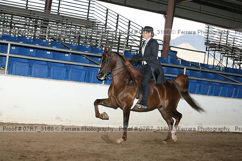 Proof 07r7_3166