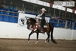 07r7_3176 proof