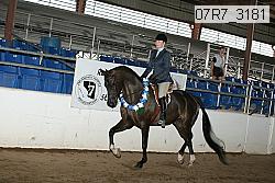 07r7_3181 proof