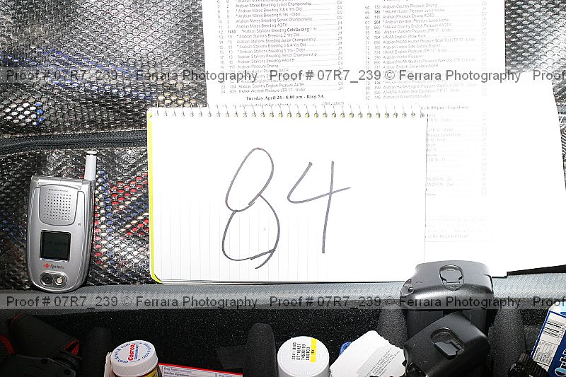 Proof 07r7_239