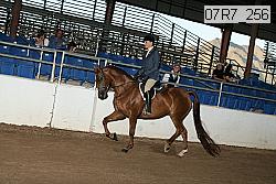 07r7_256 proof