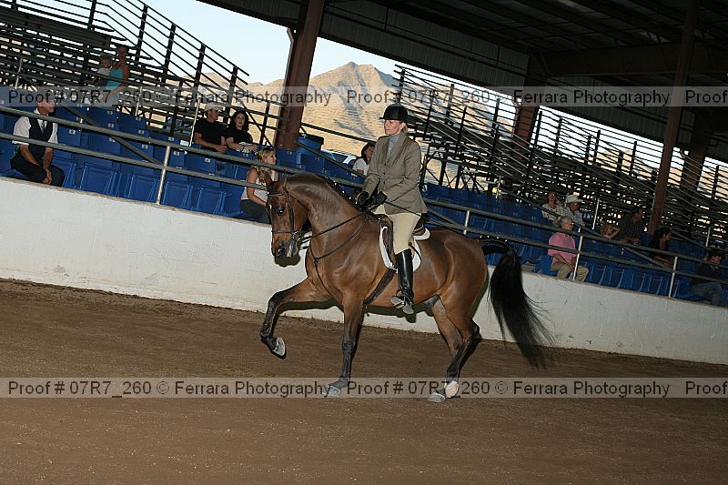 Proof 07r7_260