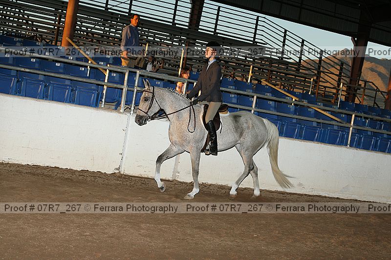 Proof 07r7_267