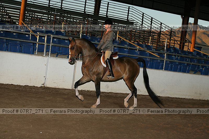 Proof 07r7_271