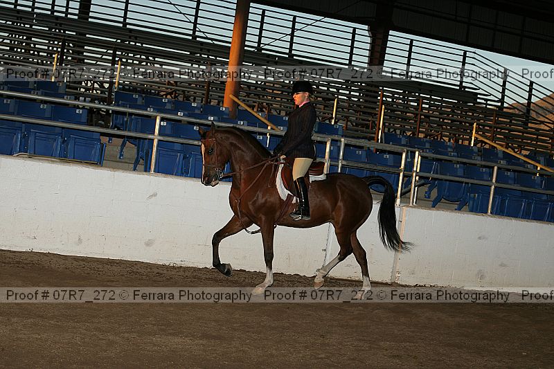 Proof 07r7_272