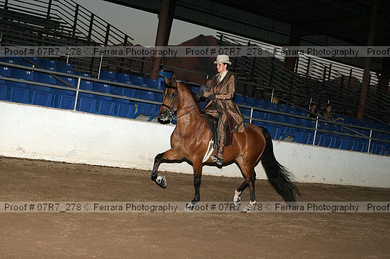 Proof 07r7_278