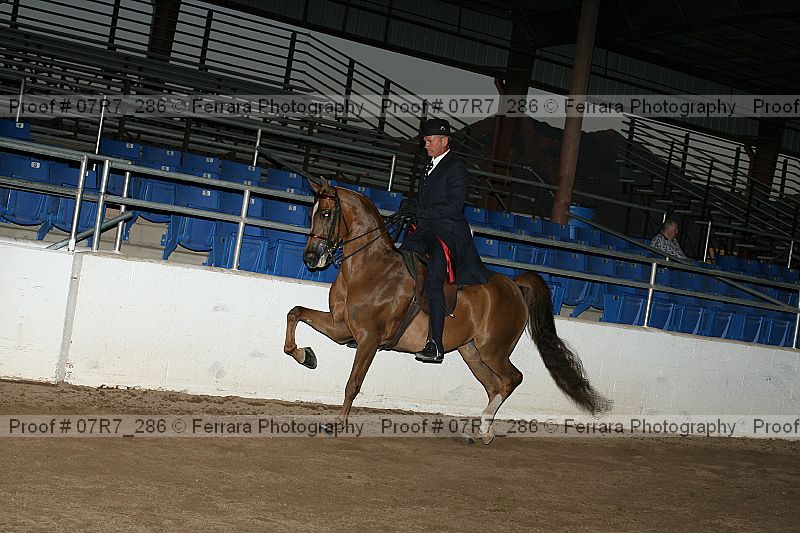 Proof 07r7_286