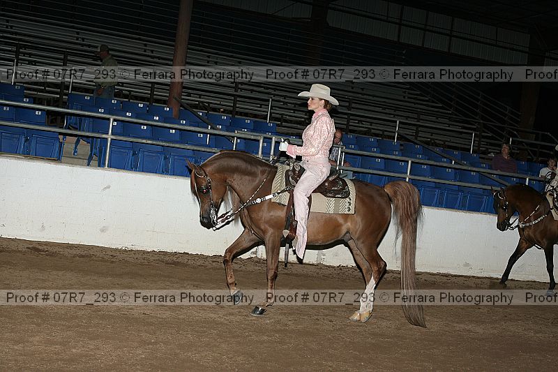 Proof 07r7_293