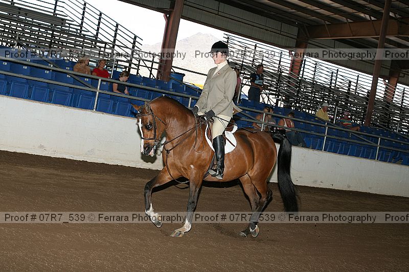 Proof 07r7_539