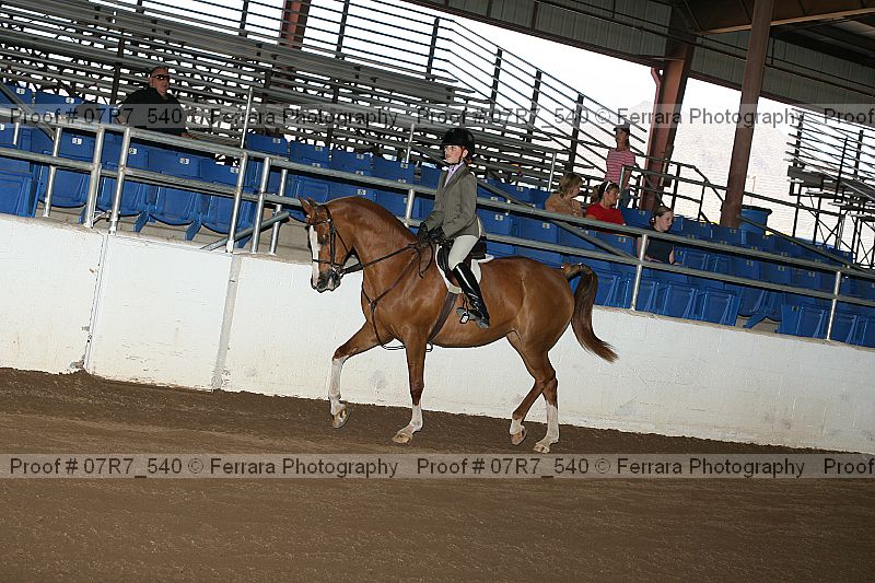 Proof 07r7_540