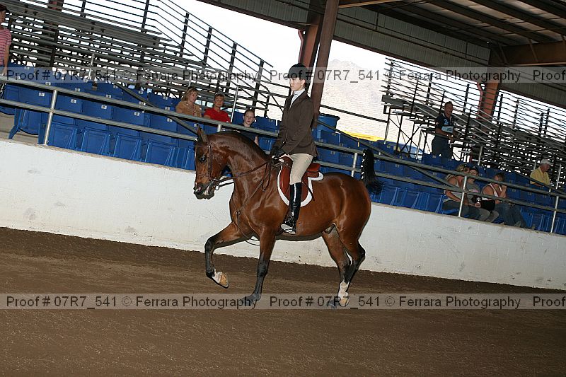 Proof 07r7_541