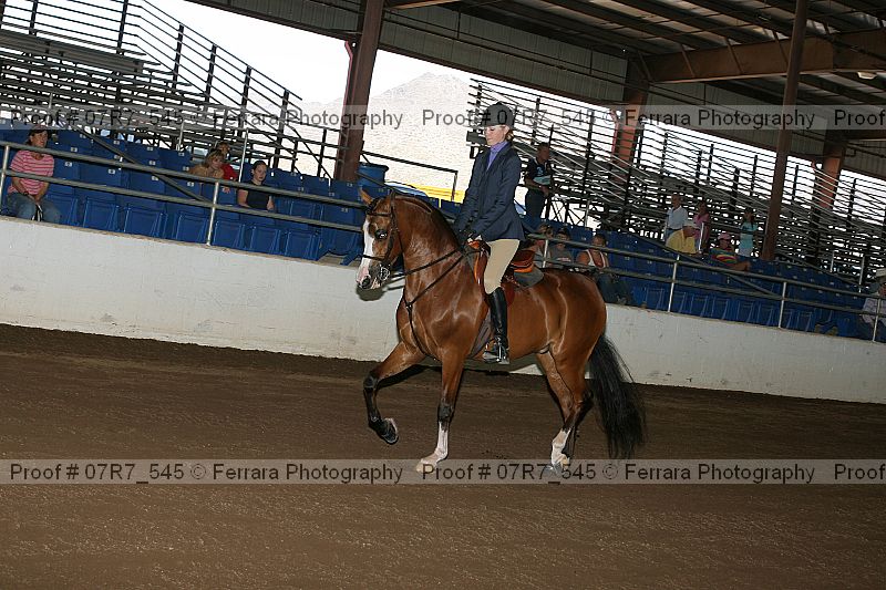 Proof 07r7_545