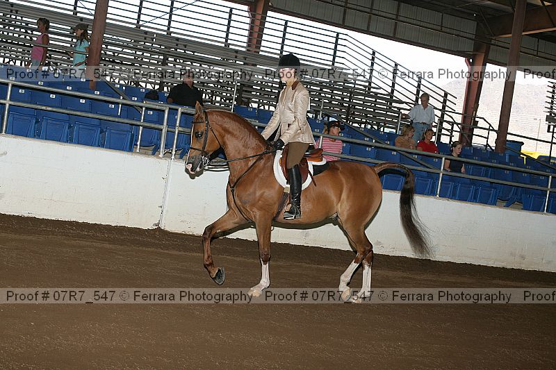 Proof 07r7_547