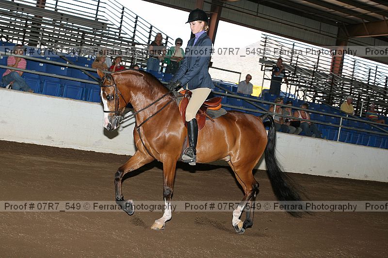 Proof 07r7_549