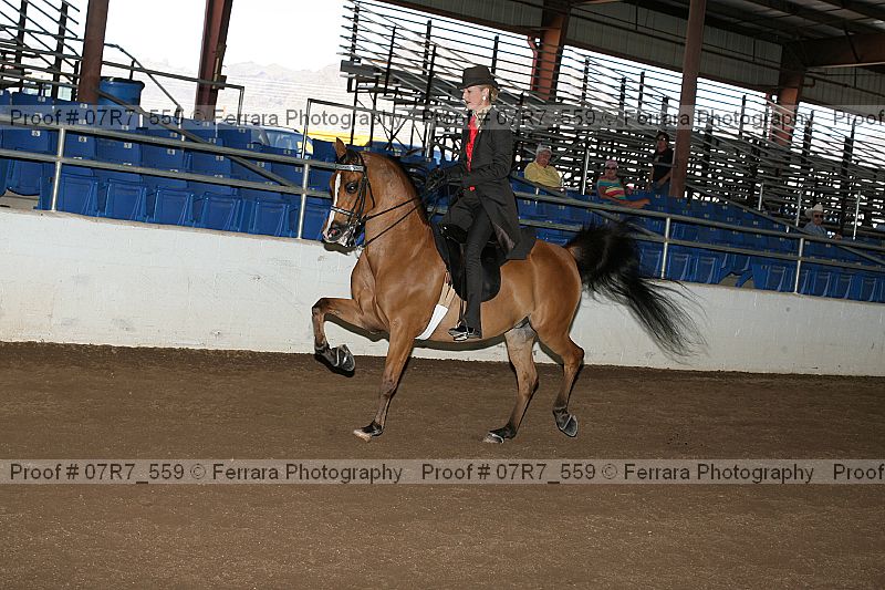 Proof 07r7_559