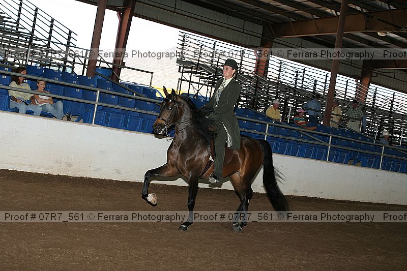 Proof 07r7_561