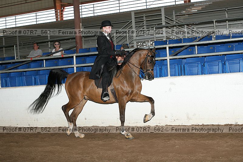 Proof 07r7_562