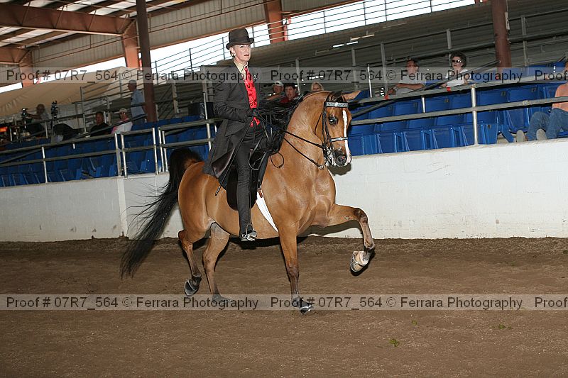 Proof 07r7_564