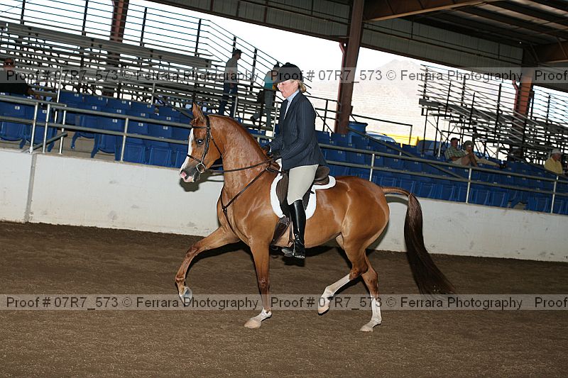 Proof 07r7_573