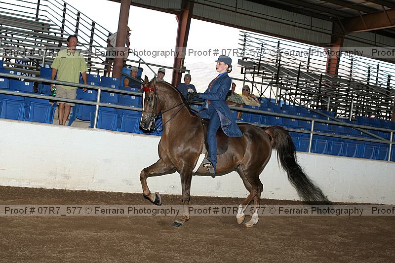 Proof 07r7_577