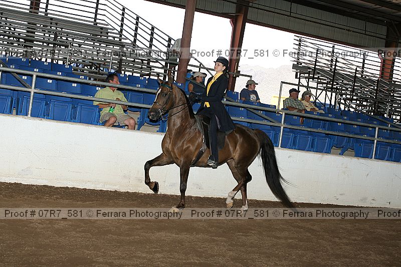 Proof 07r7_581