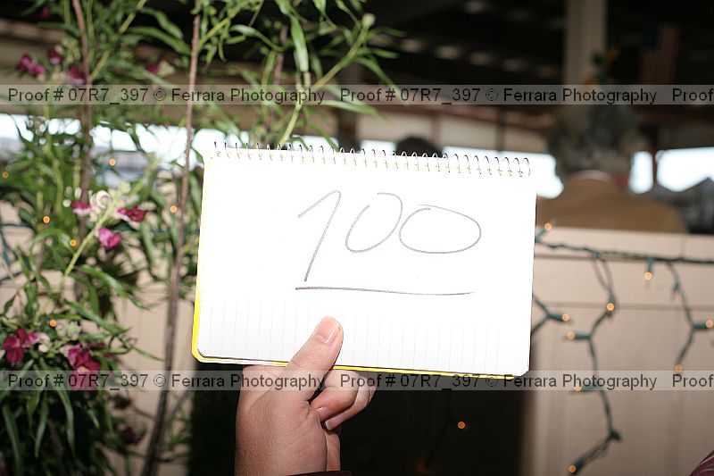 Proof 07r7_397