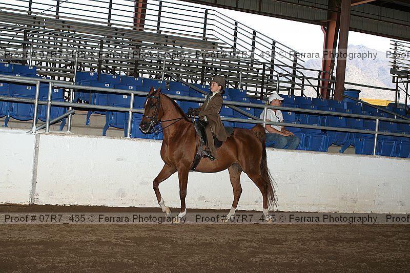 Proof 07r7_435