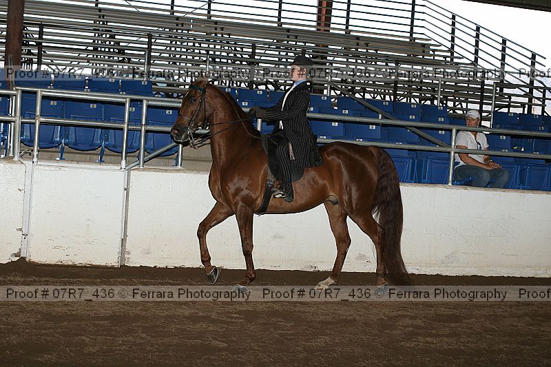Proof 07r7_436
