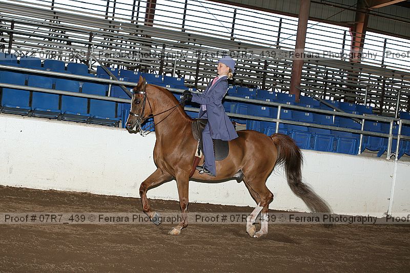 Proof 07r7_439