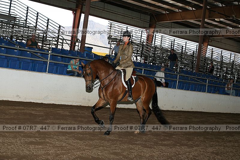 Proof 07r7_447